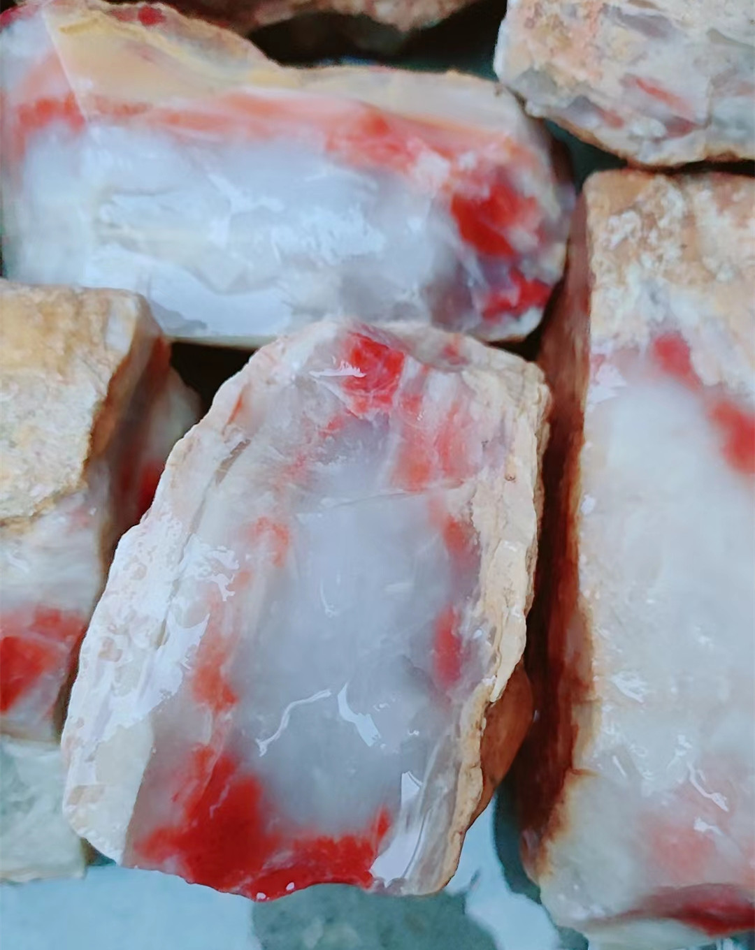 ���������ɫ��֮��Ѫ��