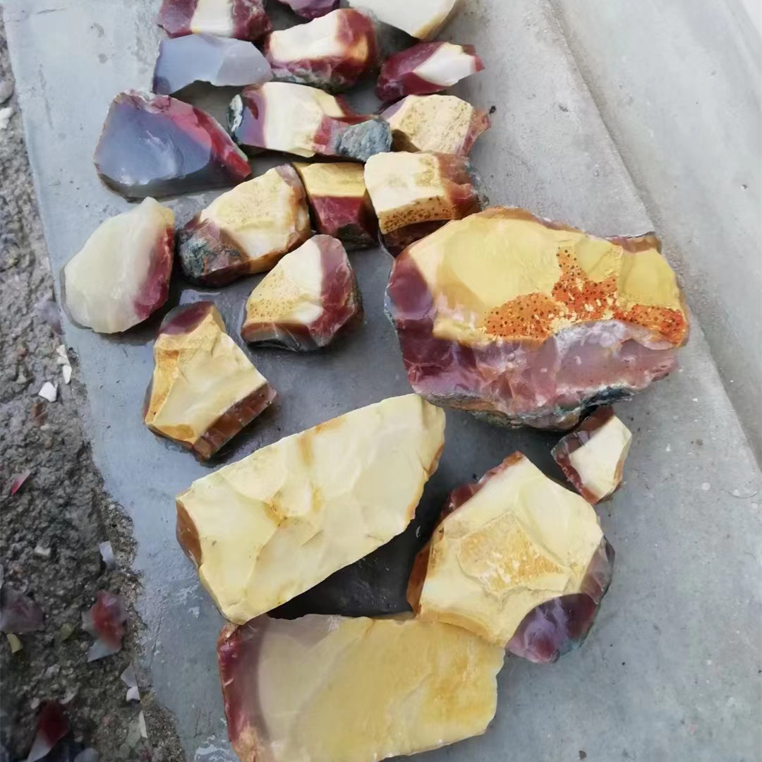 �����������觻�����